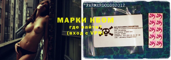 тгк Пестово