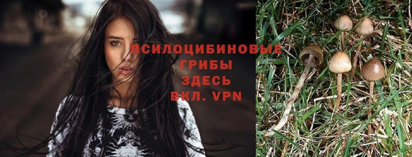 скорость Осташков