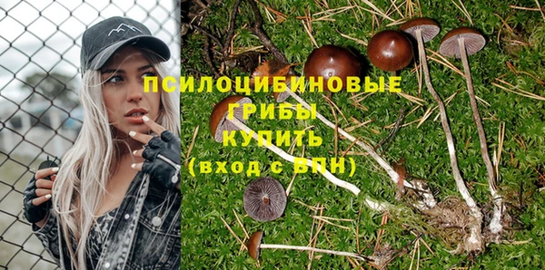 тгк Пестово