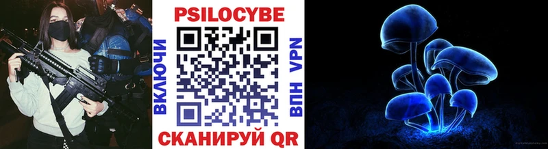 hydra как войти  Отрадное  Галлюциногенные грибы Cubensis 