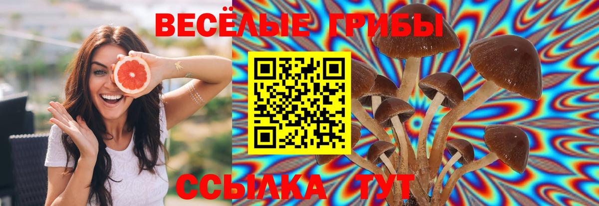 Отрадное  Псилоцибиновые грибы ЛСД  Вход с VPN 